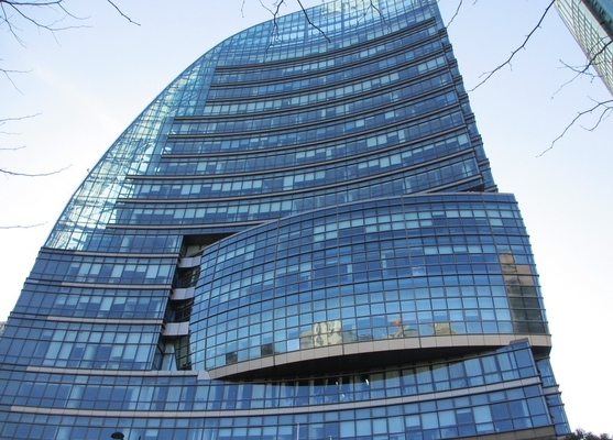 Grey Custom Tempered Glass Curtain Wall Point Support With Visible Frame