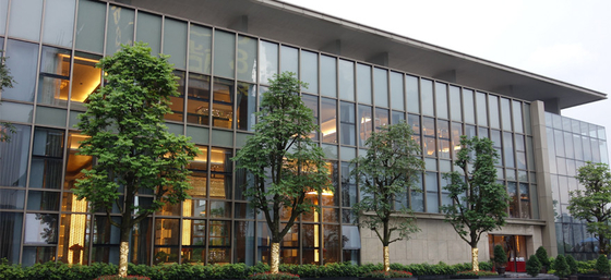 10MM Double Aluminium Glass Curtain Wall Reflective  For Office Building