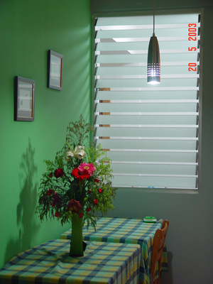 Clear Adjustable Glass Shutter Window Vertical Blinds For Commercial
